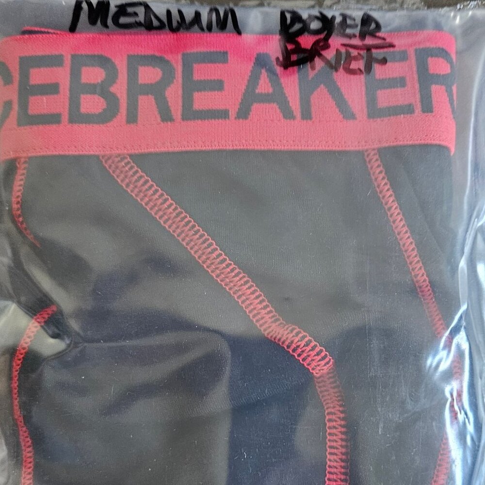 Icebreaker Beast boxer brief